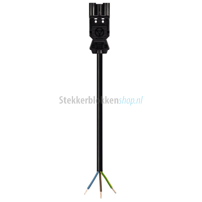 wieland kabel male gst