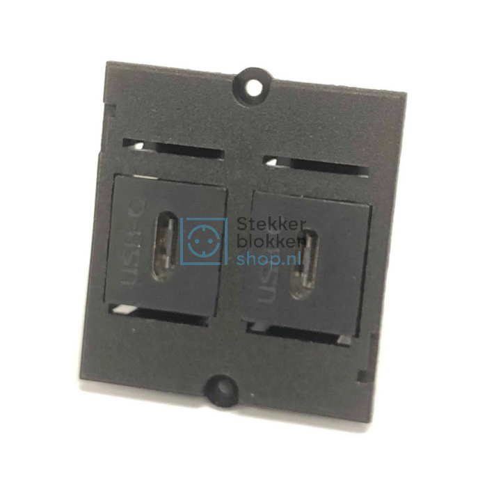USB-C 3.1 module keystone dubbel