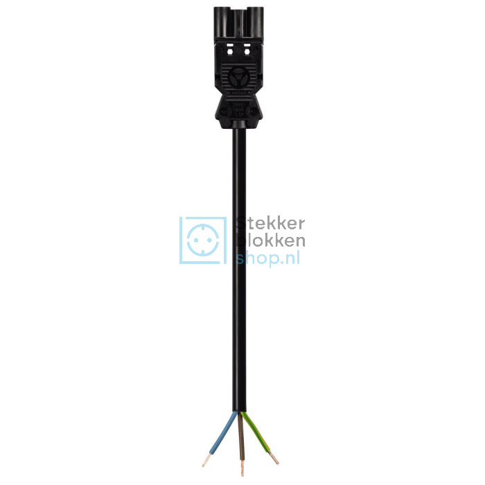 wieland kabel male gst