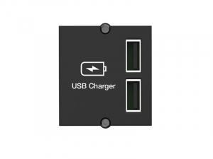 Bachmann dubbele USB lader module 917.224